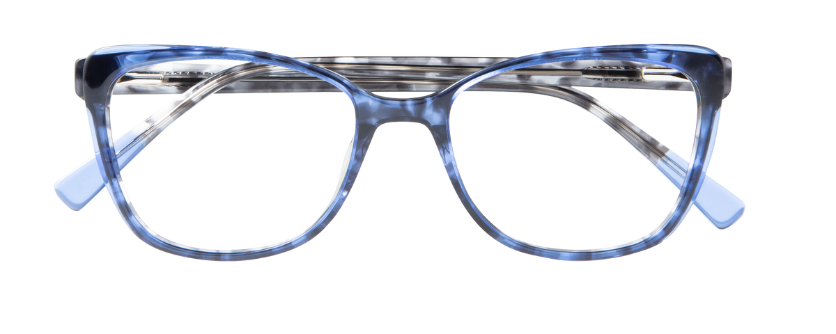 000105185626__Blue-Tortoise_01