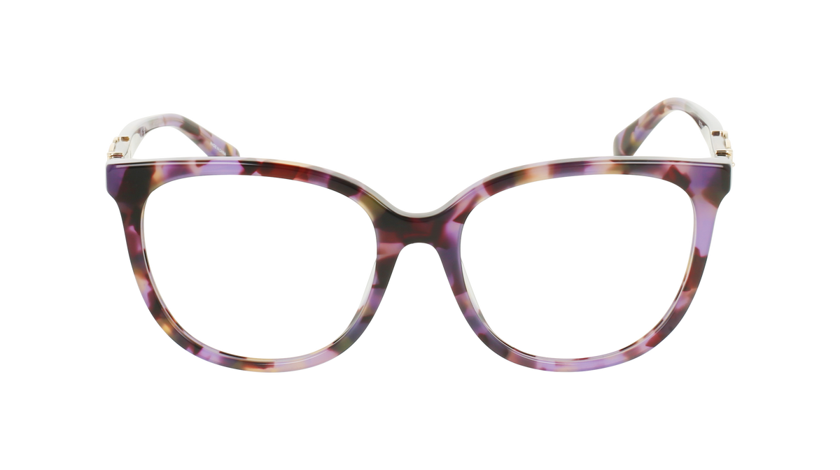 000265496808__Purple-Tortoise_01