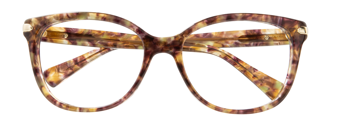 000266753133__Brown-Tortoise_01