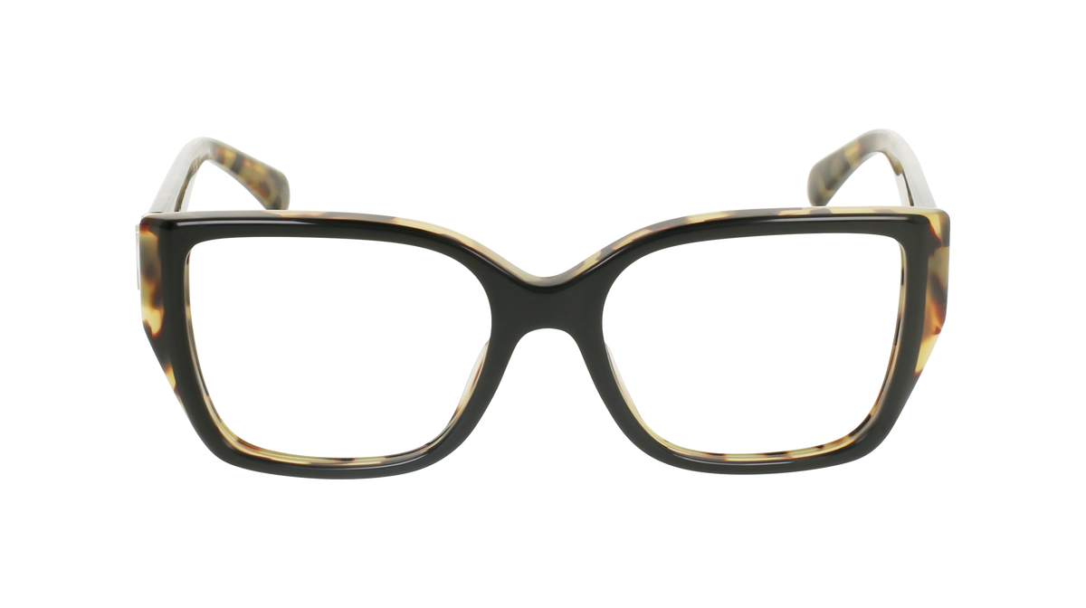 000267073396__Black-Tortoise_01