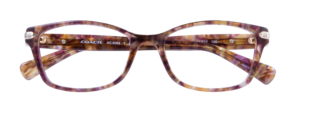 000267541827__Brown-Tortoise_01