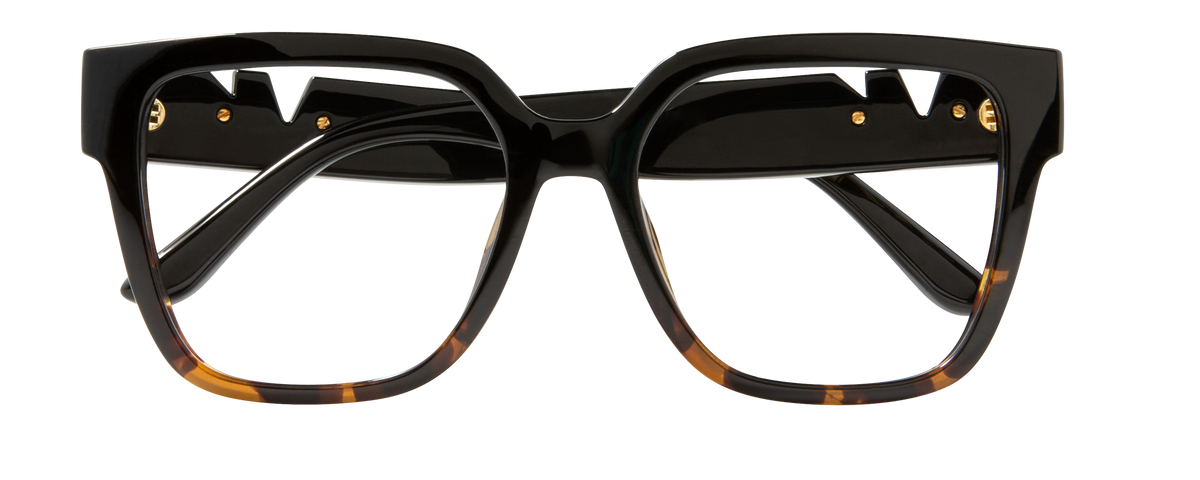 000267727942__Black-Tortoise_01