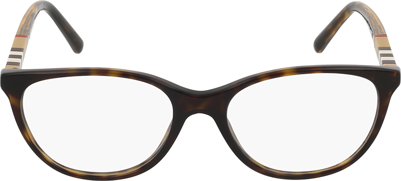 000269112384__Tortoise-Brown_01