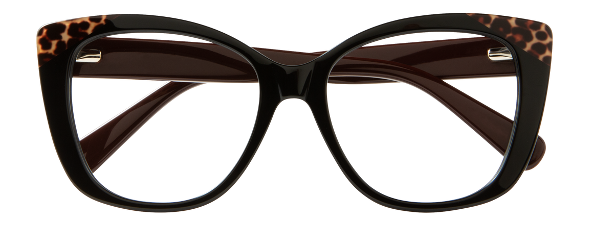 000310027941__Black-Tortoise_01