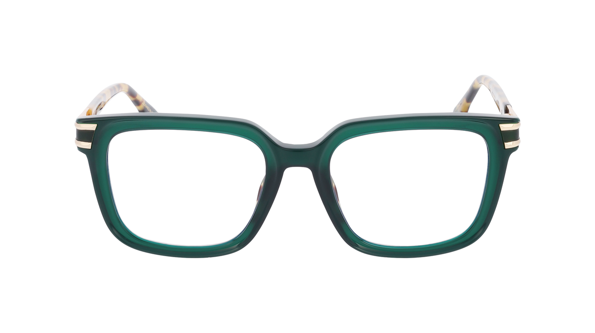 000428864316__Green_20Tortoise_01