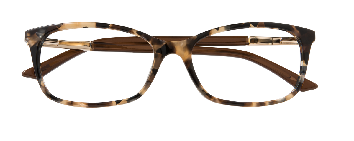 000437254830__Brown-Tortoise_01
