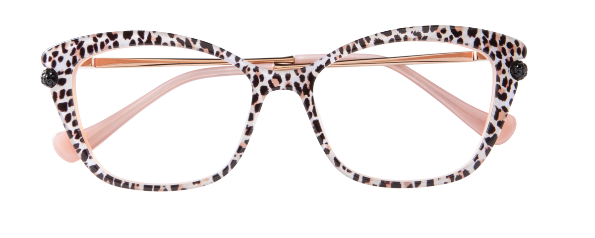 000439002517__Tortoise-Brown_01