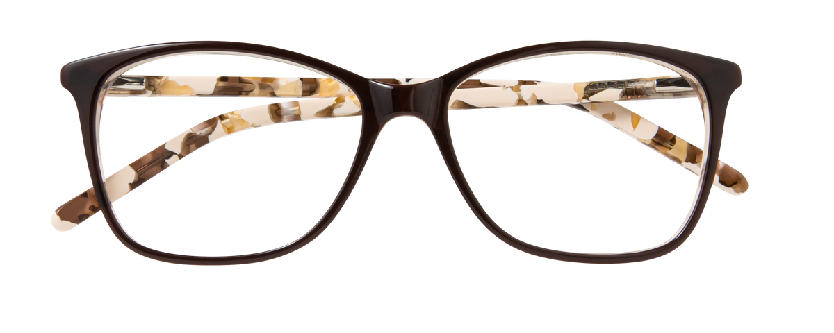 000440167226__Brown-Tortoise_01
