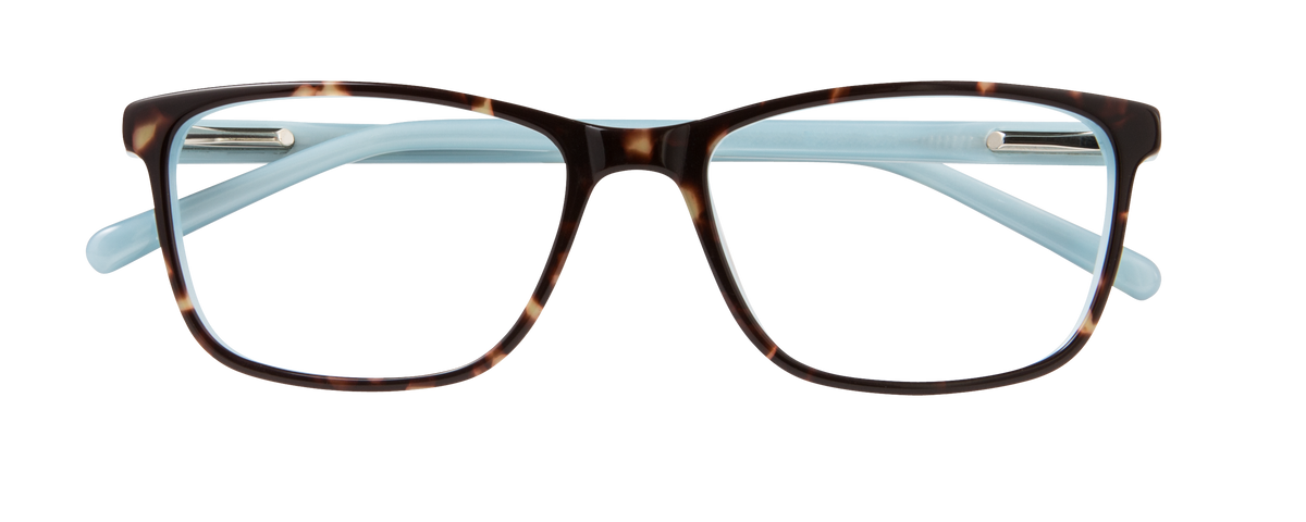 000441427619__Tortoise-Blue_01