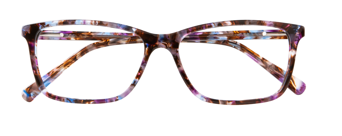 000442754061__Purple-Tortoise_01
