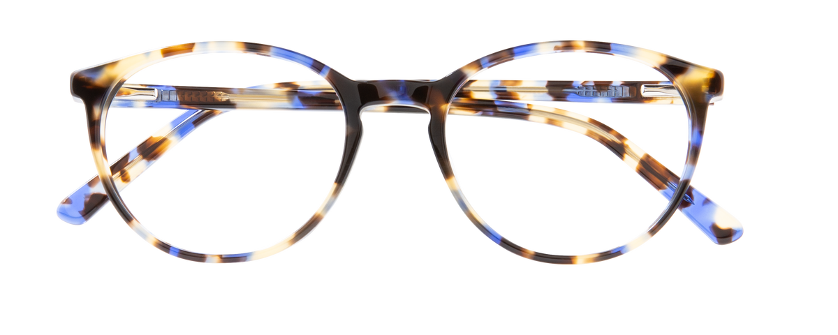 000443069193__Blue-Tortoise_01