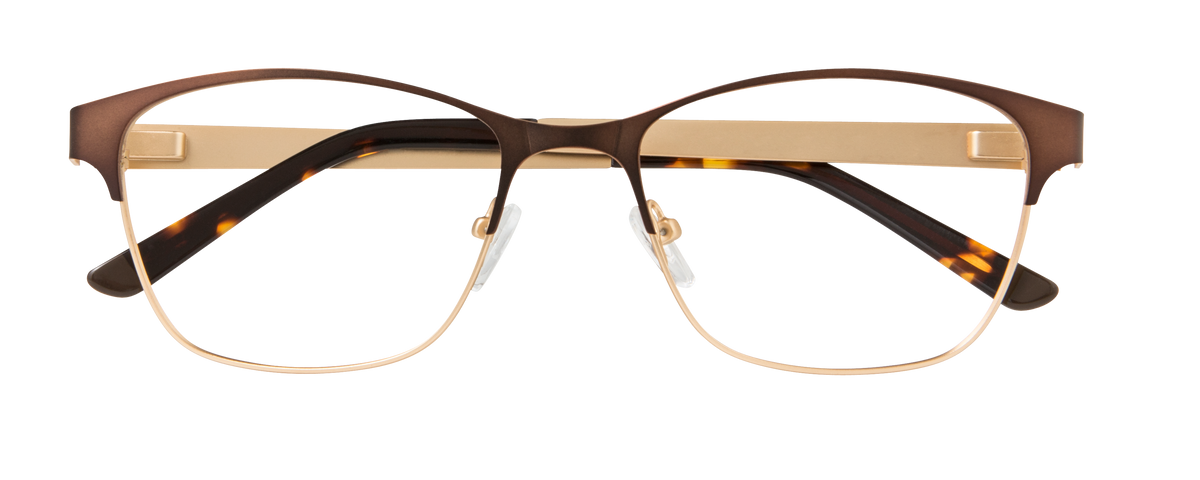 000443183490__Brown-Tortoise_01