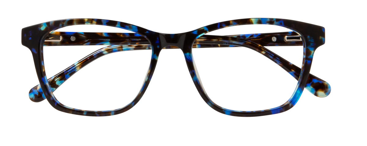 000445493634__Blue-Tortoise_01