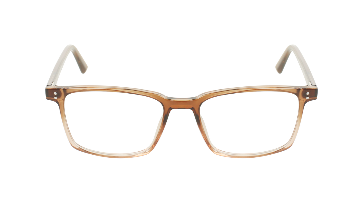 000446127621__Brown_01