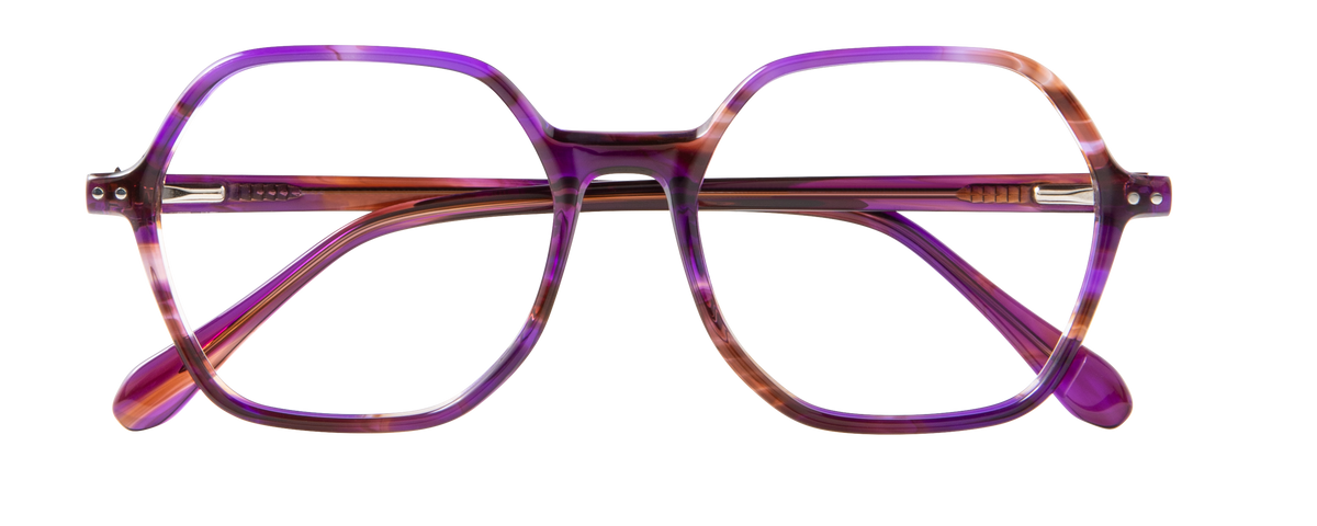 000446400027__Purple-Tortoise_01