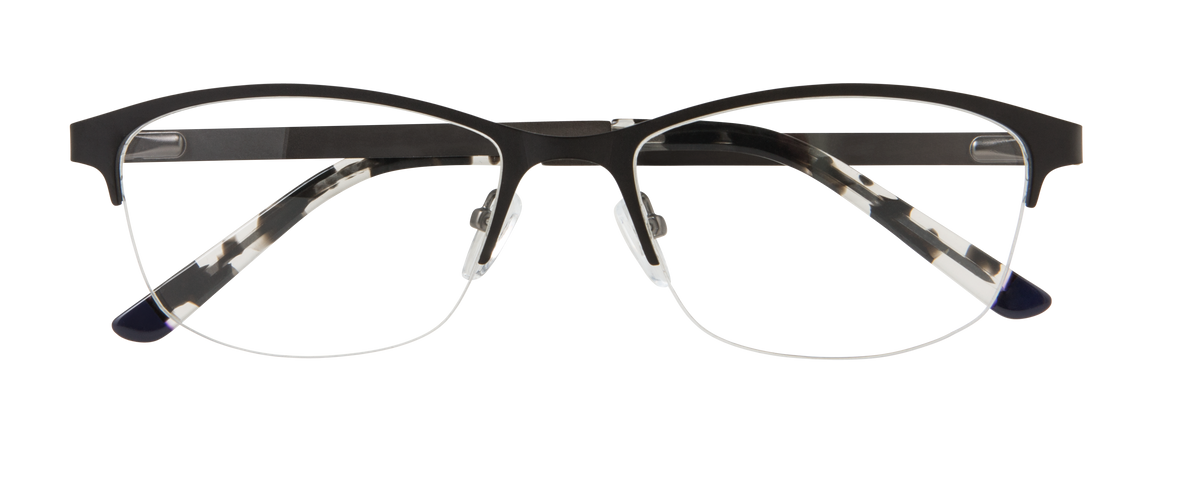 000447823521__Black-Tortoise_01
