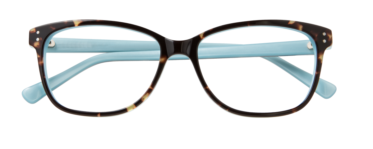000449154593__Tortoise-Blue_01