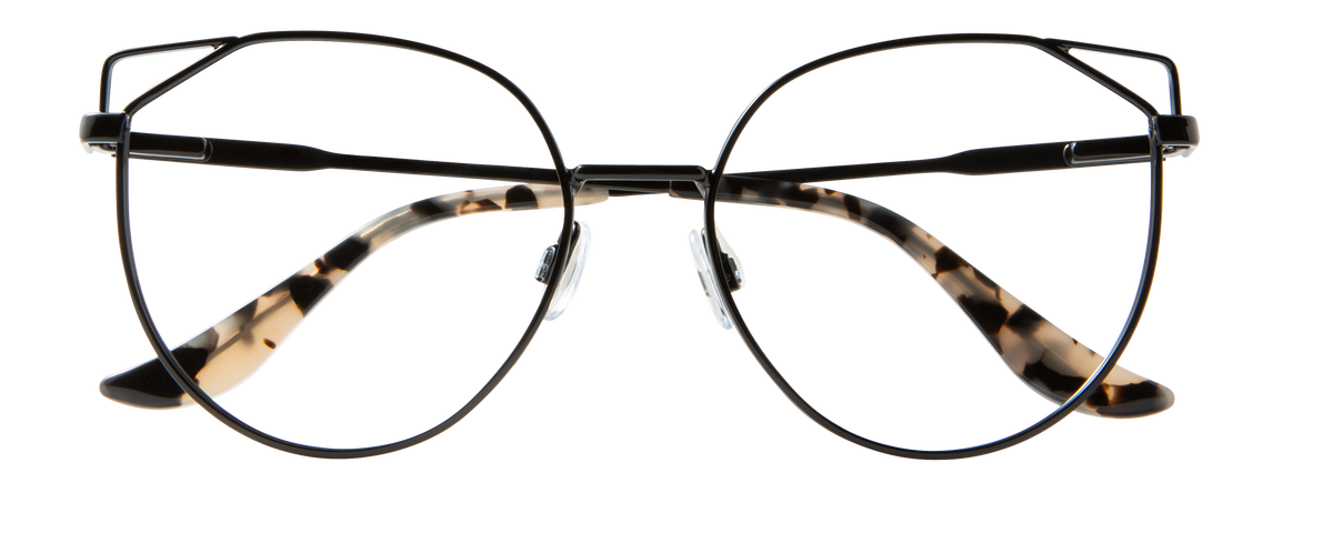 000890734712__Black-Tortoise-01